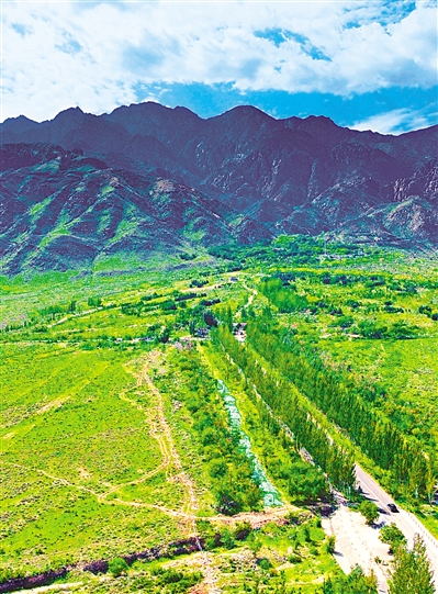     綠色——賀蘭山，寧夏的父親山。隨著近年來賀蘭山生態(tài)保衛(wèi)戰(zhàn)的打響，賀蘭山生態(tài)逐步恢復，是寧夏踐行“綠水青山就是金山銀山”理念的生動寫照。     本報記者 馬楠 攝